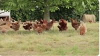 Le tract